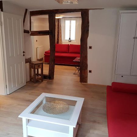 Zauberhafte Wohnung In Der Naehe Von Heidelberg, Top Lage Хиршхорн Экстерьер фото