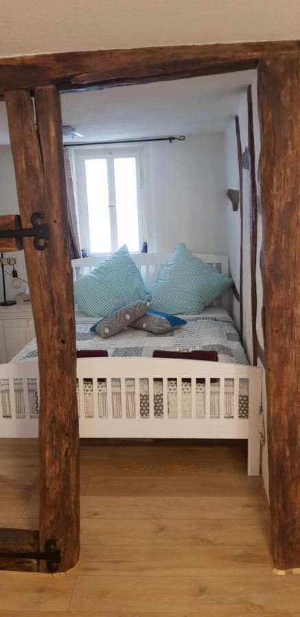 Zauberhafte Wohnung In Der Naehe Von Heidelberg, Top Lage Хиршхорн Экстерьер фото