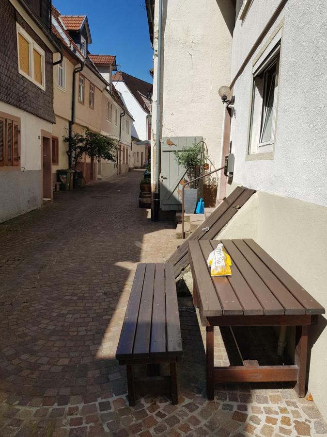 Zauberhafte Wohnung In Der Naehe Von Heidelberg, Top Lage Хиршхорн Экстерьер фото