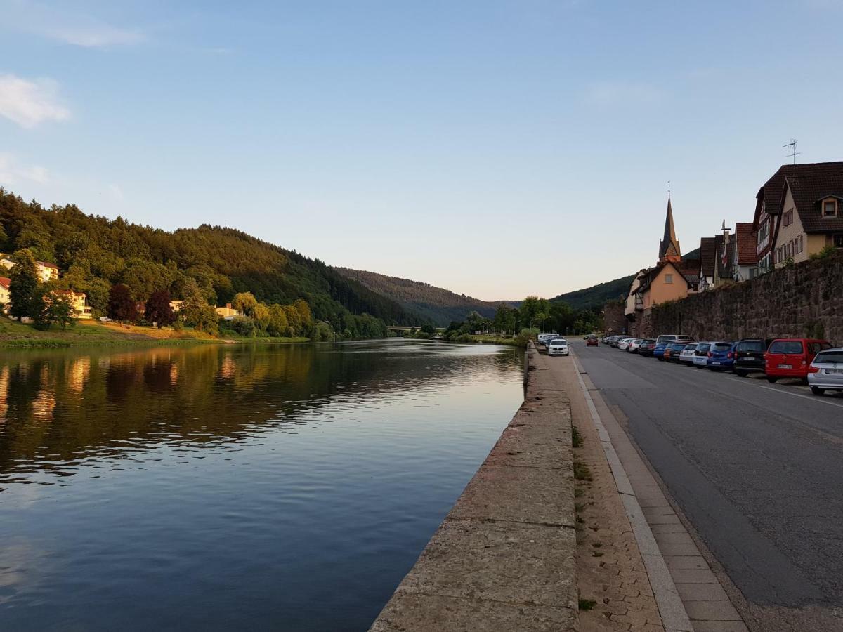 Zauberhafte Wohnung In Der Naehe Von Heidelberg, Top Lage Хиршхорн Экстерьер фото