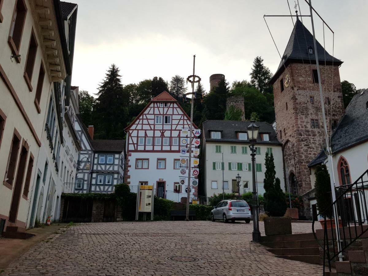 Zauberhafte Wohnung In Der Naehe Von Heidelberg, Top Lage Хиршхорн Экстерьер фото