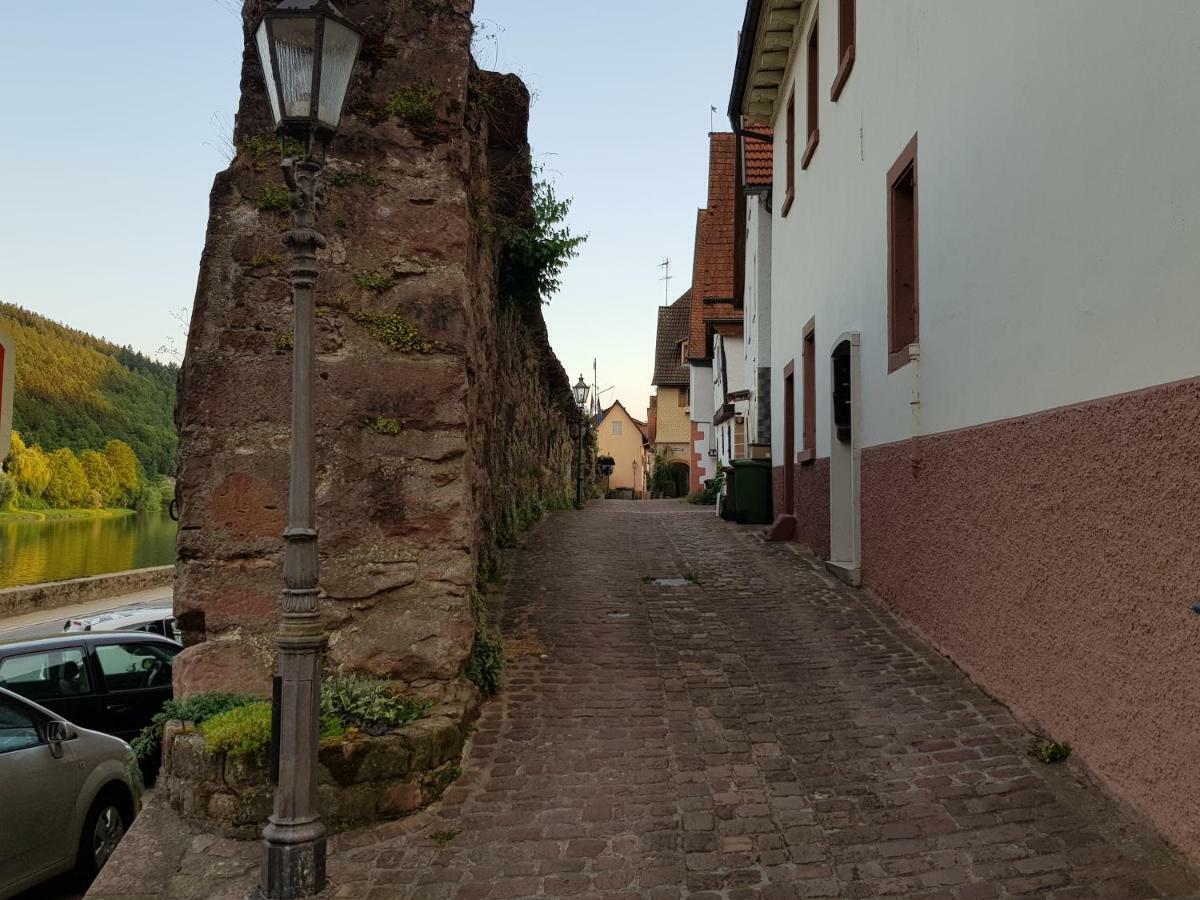 Zauberhafte Wohnung In Der Naehe Von Heidelberg, Top Lage Хиршхорн Экстерьер фото