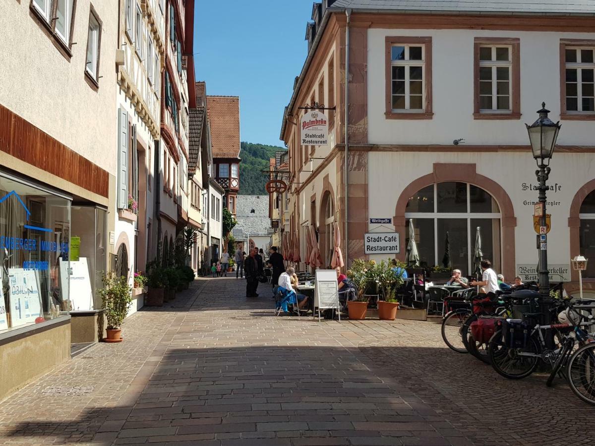 Zauberhafte Wohnung In Der Naehe Von Heidelberg, Top Lage Хиршхорн Экстерьер фото