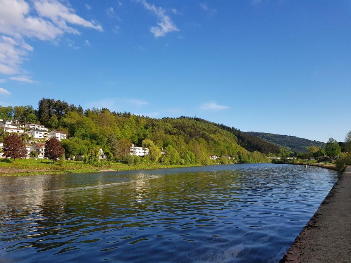 Zauberhafte Wohnung In Der Naehe Von Heidelberg, Top Lage Хиршхорн Экстерьер фото