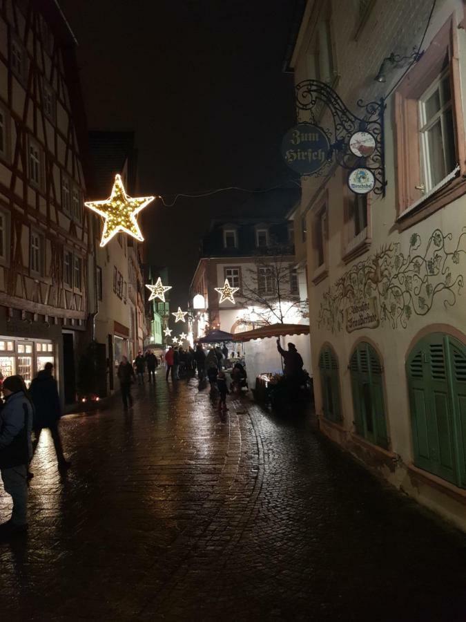 Zauberhafte Wohnung In Der Naehe Von Heidelberg, Top Lage Хиршхорн Экстерьер фото