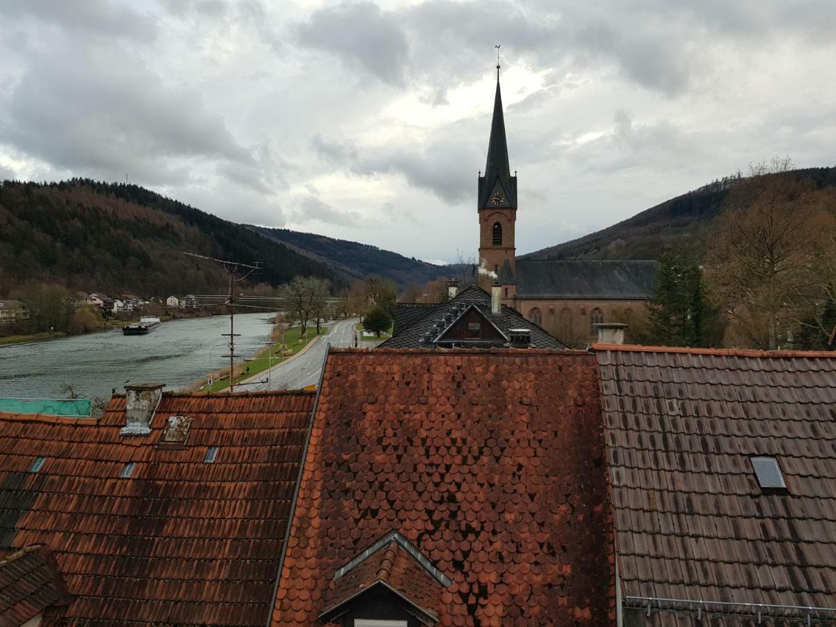 Zauberhafte Wohnung In Der Naehe Von Heidelberg, Top Lage Хиршхорн Экстерьер фото