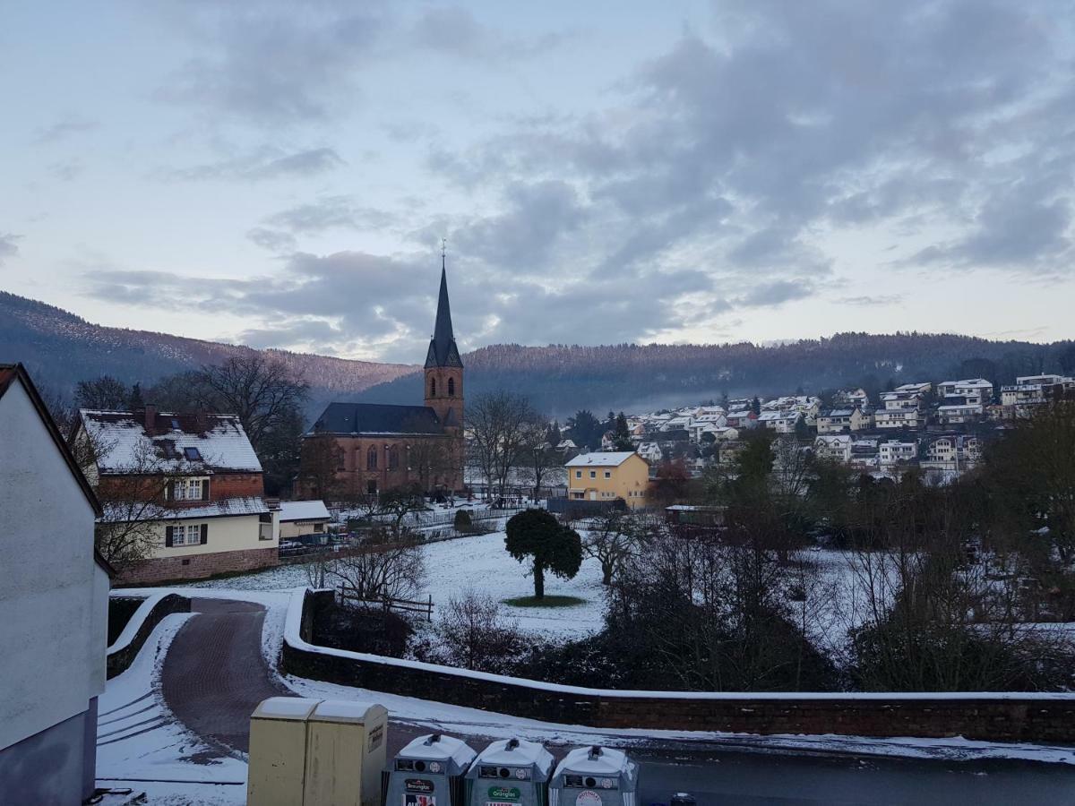 Zauberhafte Wohnung In Der Naehe Von Heidelberg, Top Lage Хиршхорн Экстерьер фото