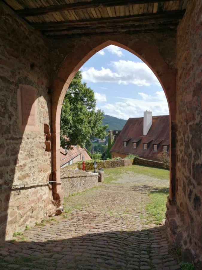 Zauberhafte Wohnung In Der Naehe Von Heidelberg, Top Lage Хиршхорн Экстерьер фото