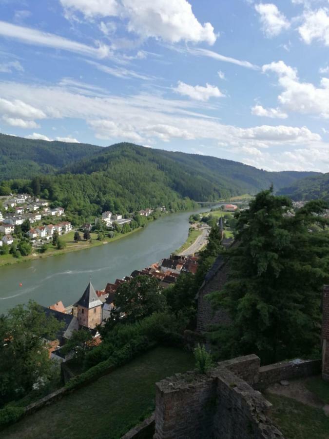 Zauberhafte Wohnung In Der Naehe Von Heidelberg, Top Lage Хиршхорн Экстерьер фото