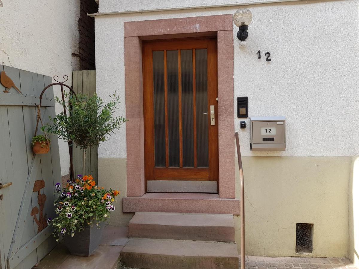 Zauberhafte Wohnung In Der Naehe Von Heidelberg, Top Lage Хиршхорн Экстерьер фото