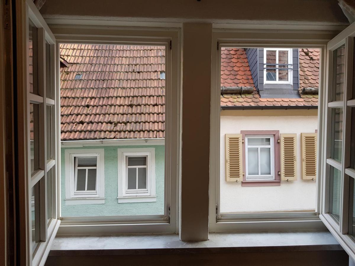 Zauberhafte Wohnung In Der Naehe Von Heidelberg, Top Lage Хиршхорн Экстерьер фото